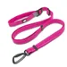 Laisse extensible chien Truelove CLIMB