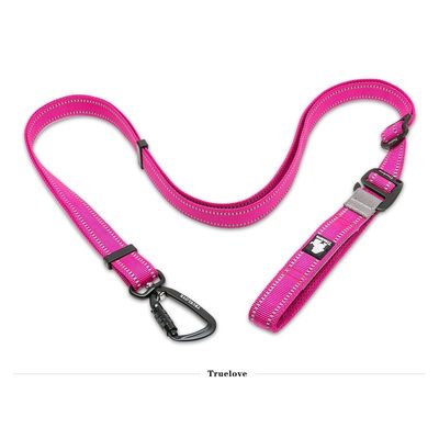 Laisse extensible chien Truelove CLIMB