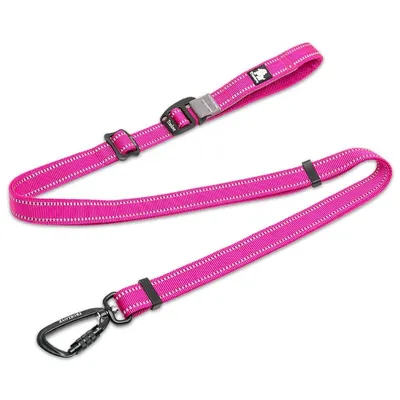 Laisse extensible chien Truelove CLIMB