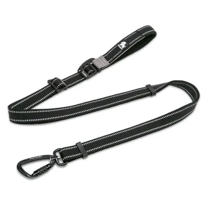 Laisse extensible chien Truelove CLIMB