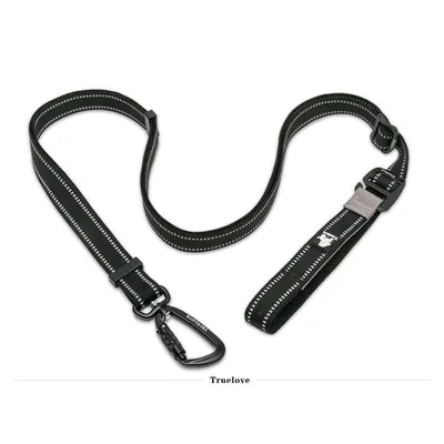 Laisse extensible chien Truelove CLIMB