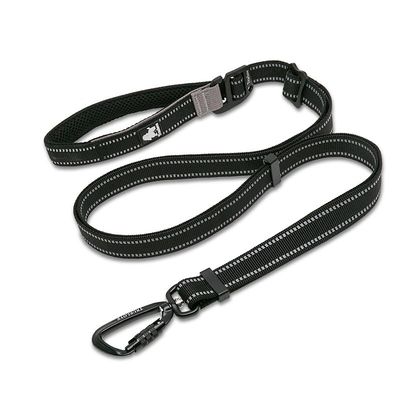 Laisse extensible chien Truelove CLIMB
