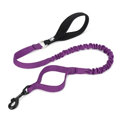 Laisse élastique chien Truelove FLOW