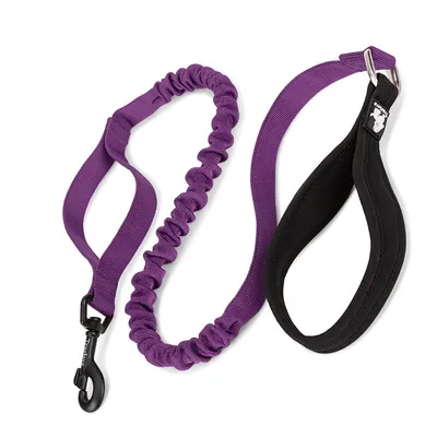 Laisse élastique chien Truelove FLOW
