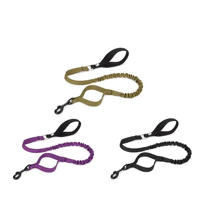 Laisse élastique chien Truelove FLOW