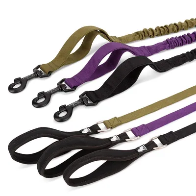 Laisse élastique chien Truelove FLOW