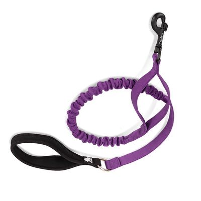 Laisse élastique chien Truelove FLOW