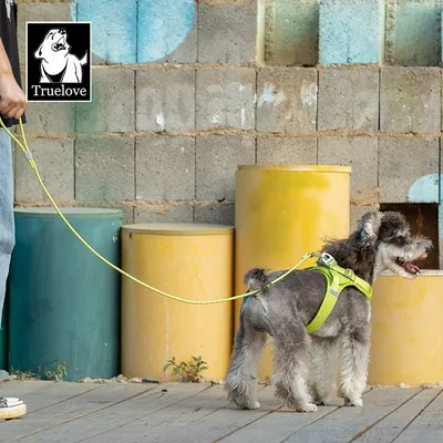 Laisse chien "Kit main libre" Truelove