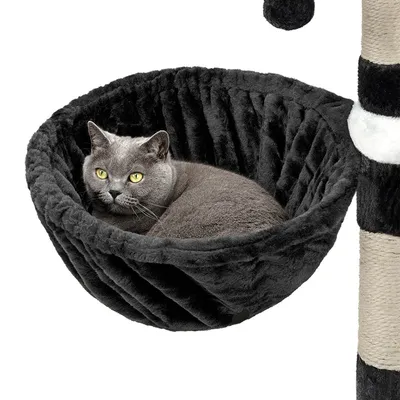 lionto hamac en peluche douce pour arbre à chat avec cadre métallique lionto hamac en peluche douce pour arbre à chat avec cadre métallique