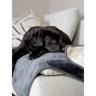 TrendPet Pearl wasserdichte Decke TrendPet Pearl wasserdichte Decke