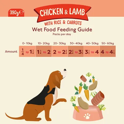 Nourriture humide pour chiens Naturediet Feel Good Poulet Agneau 18 x 390g