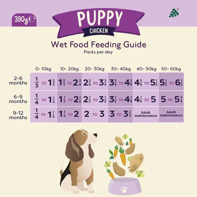 Nourriture humide pour chiots Naturediet Feel Good Puppy Poulet 18 x 390g Nourriture humide pour chiots Naturediet Feel Good Puppy Poulet 18 x 390g
