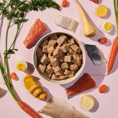 Nourriture humide sans céréales Naturediet Feel Good Saumon 18 x 390g