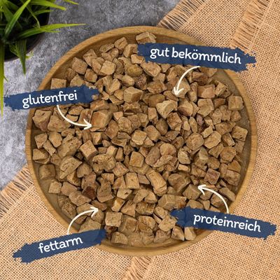 Lyra Entenleberwürfel gefriergetrocknet