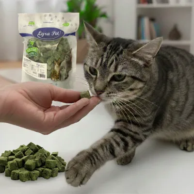 Lyra Pet® Cubes d’herbe à chat lyophilisés