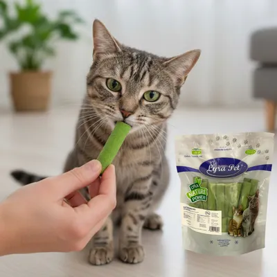 Lyra Pet® Bâtonnets d'herbe à chat lyophilisés