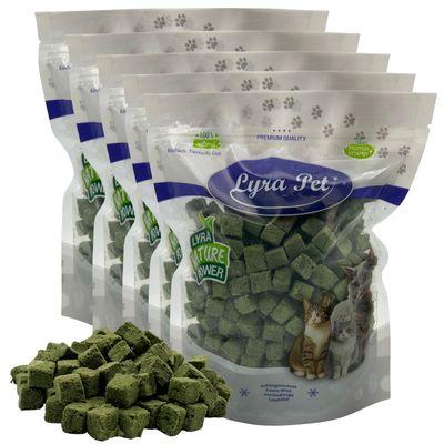 Lyra Pet® Katzengraswürfel gefriergetr. 1 kg