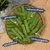 Lyra Pet® Bâtonnets d'herbe à chat lyophilisés