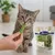 Lyra Pet® Bâtonnets d'herbe à chat lyophilisés