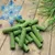 Lyra Pet® Bâtonnets d'herbe à chat lyophilisés