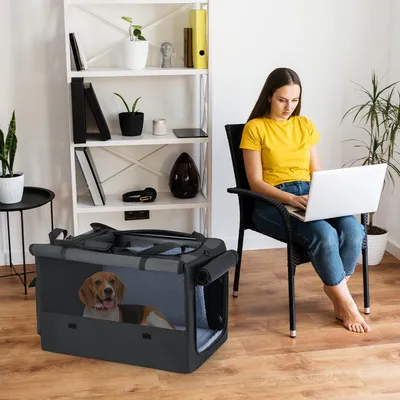 Giantex Transportbox Für Hunde Und Katzen,Ausziehbar Mit Belüftungsfenstern Giantex Transportbox Für Hunde Und Katzen,Ausziehbar Mit Belüftungsfenstern