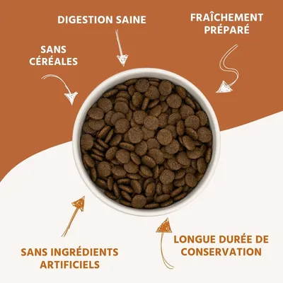 Wildfang® Croquettes Junior au poulet pour chiots - sans céréales