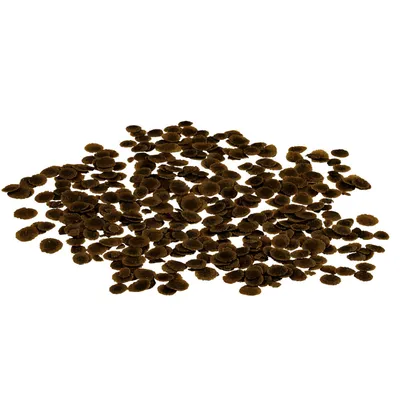 TetraPRO Algae 100 ml aliment complet pour poisson