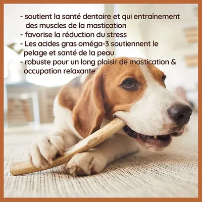 Wildfang — Demi-bois de cerf à mâcher, 100 % naturel