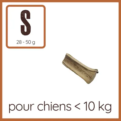 Wildfang — Demi-bois de cerf à mâcher, 100 % naturel