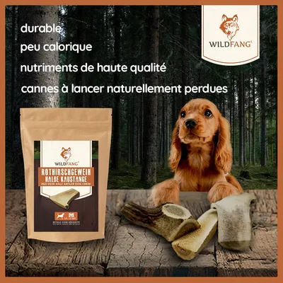 Wildfang — Demi-bois de cerf à mâcher, 100 % naturel