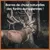 Wildfang — Demi-bois de cerf à mâcher, 100 % naturel