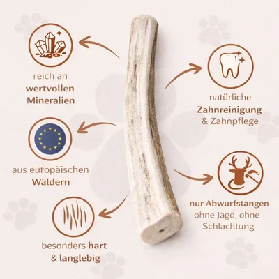 Wildfang — Demi-bois de cerf à mâcher, 100 % naturel