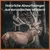 Wildfang — Demi-bois de cerf à mâcher, 100 % naturel