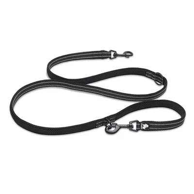 Laisse chien Truelove Ride