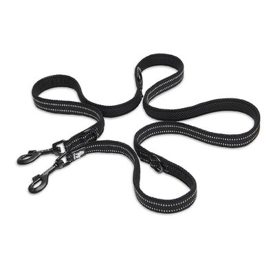 Laisse chien Truelove Ride