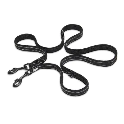 Laisse chien Truelove Ride