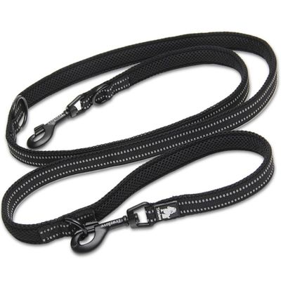 Laisse chien Truelove Ride