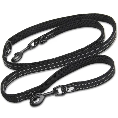 Laisse chien Truelove Ride