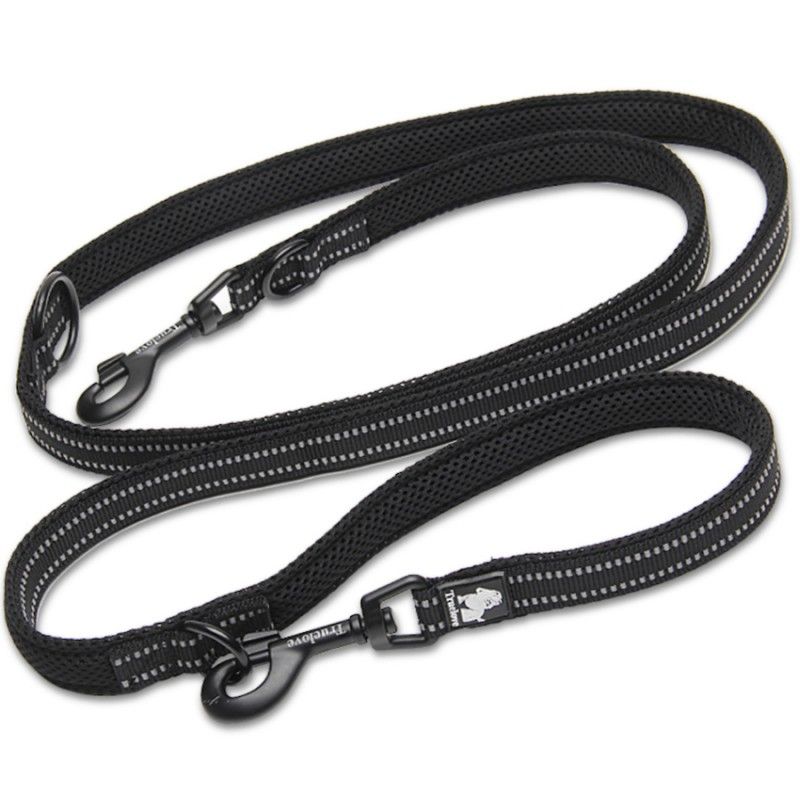 Laisse chien Truelove Ride