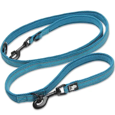 Laisse chien Truelove Ride