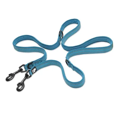 Laisse chien Truelove Ride