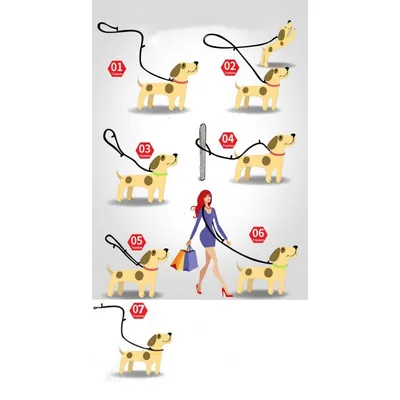 Laisse chien Truelove Ride