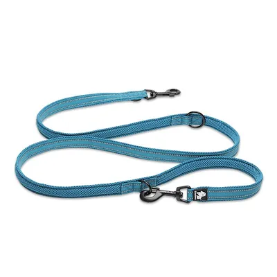 Laisse chien Truelove Ride