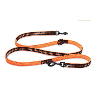 Laisse chien Truelove Ride