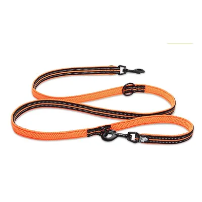 Laisse chien Truelove Ride