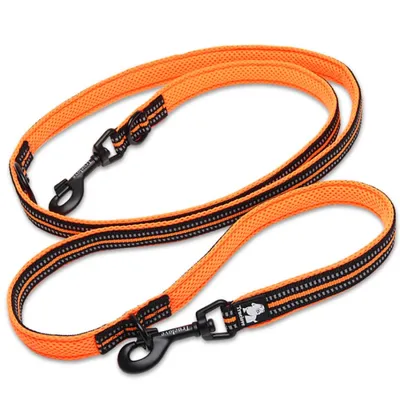 Laisse chien Truelove Ride