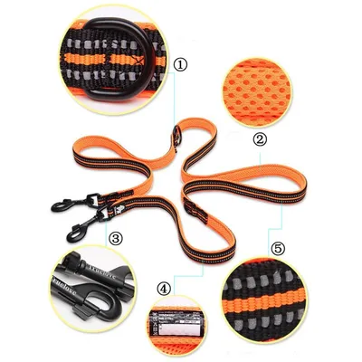 Laisse chien Truelove Ride Laisse chien Truelove Ride