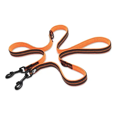 Laisse chien Truelove Ride Laisse chien Truelove Ride