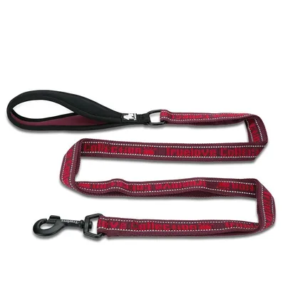Laisse chien Truelove PULL PLUS +