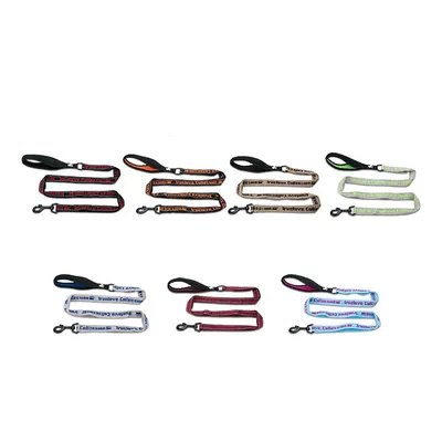 Laisse chien Truelove PULL PLUS +